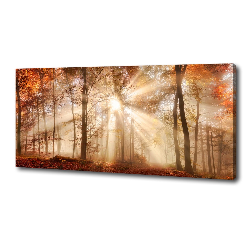 Canvas wall art Fog in the Forest Autumn