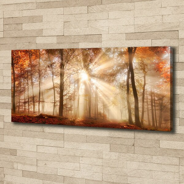 Canvas wall art Fog in the Forest Autumn