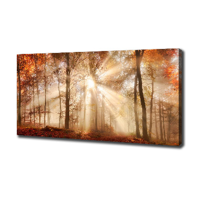 Canvas wall art Fog in the Forest Autumn