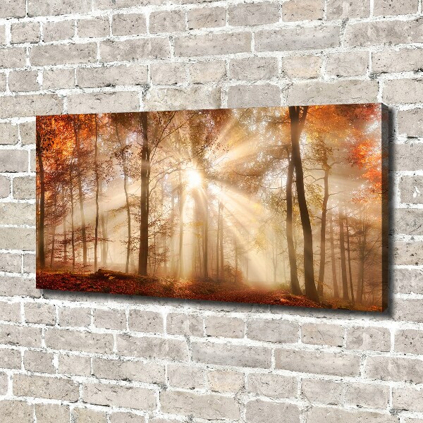 Canvas wall art Fog in the Forest Autumn