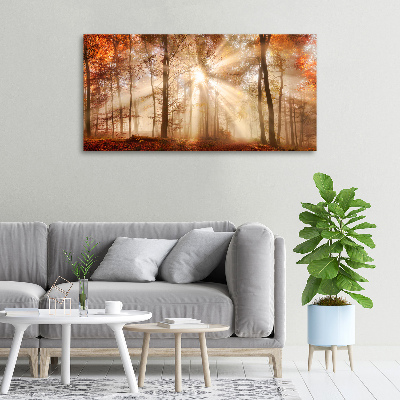 Canvas wall art Fog in the Forest Autumn