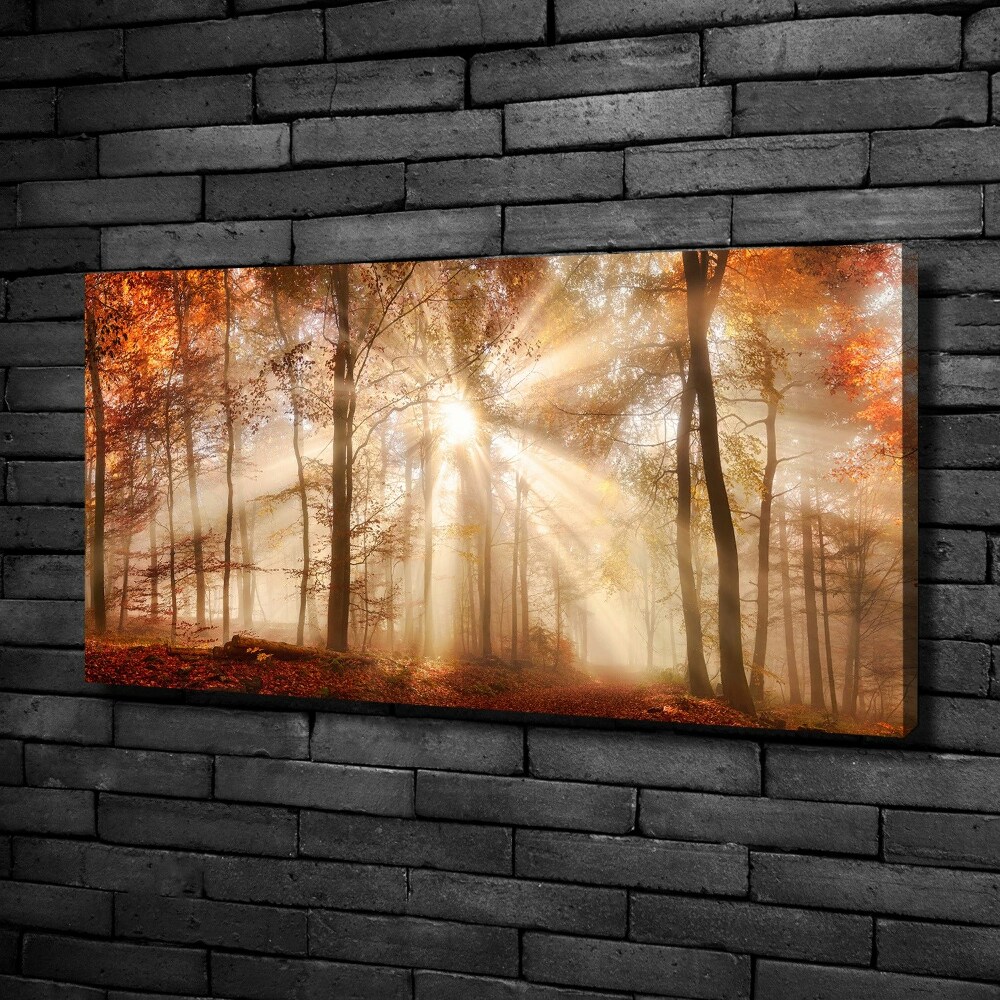 Canvas wall art Fog in the Forest Autumn