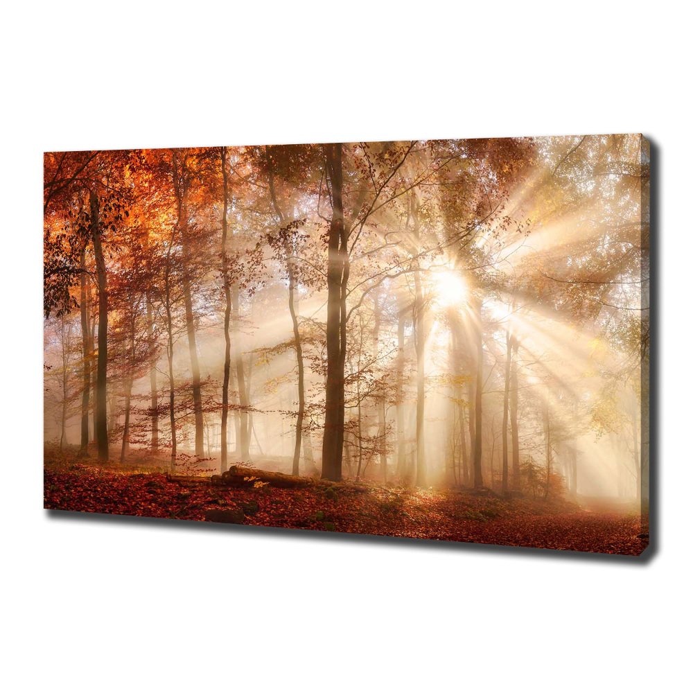 Canvas wall art Fog in the Forest Autumn