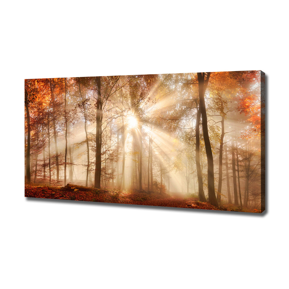 Canvas wall art Fog in the Forest Autumn