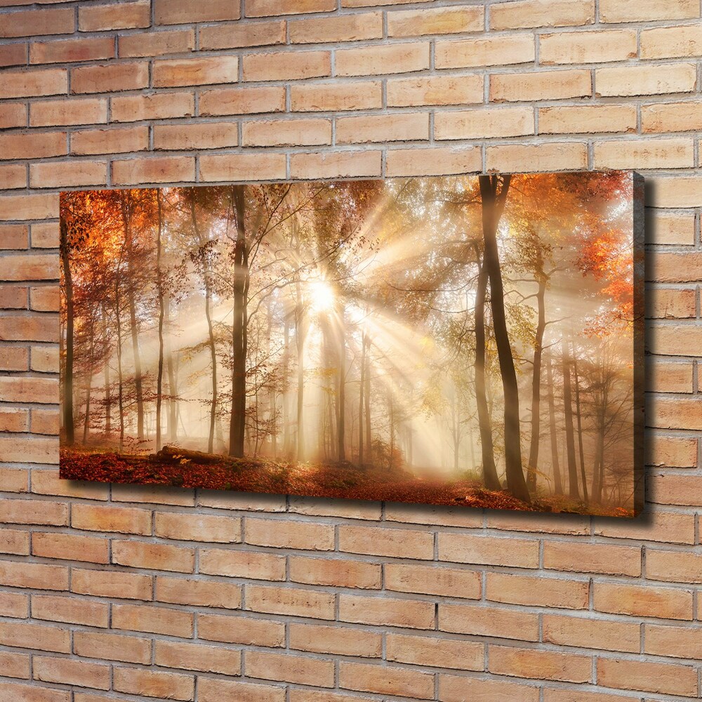 Canvas wall art Fog in the Forest Autumn