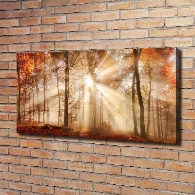 Canvas wall art Fog in the Forest Autumn