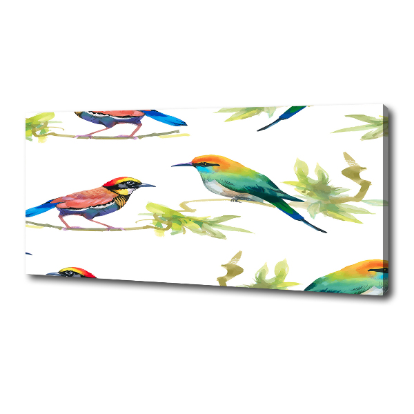 Canvas wall art Exotic birds