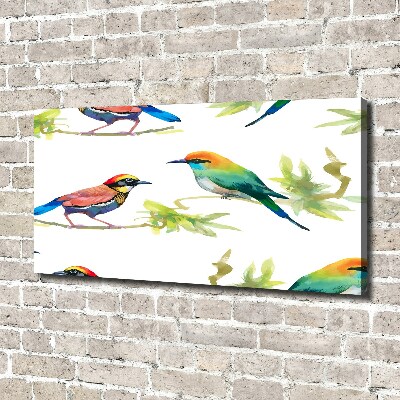 Canvas wall art Exotic birds