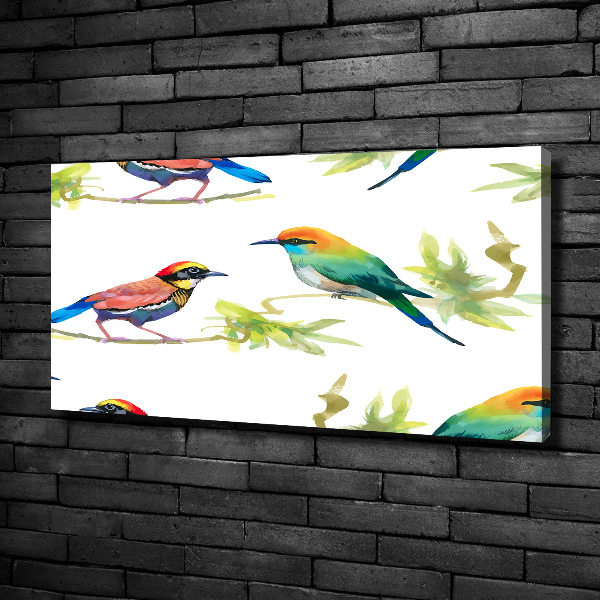 Canvas wall art Exotic birds