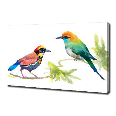 Canvas wall art Exotic birds