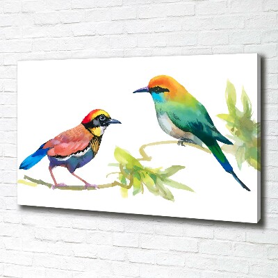 Canvas wall art Exotic birds