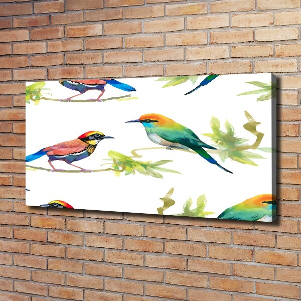 Canvas wall art Exotic birds