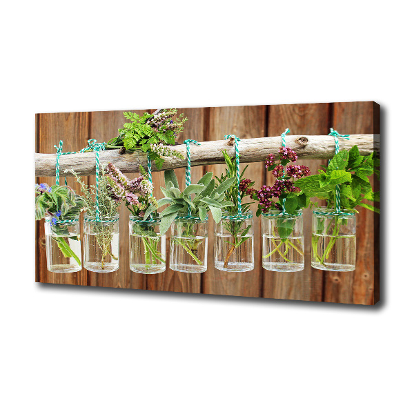 Canvas wall art Herbs in jars