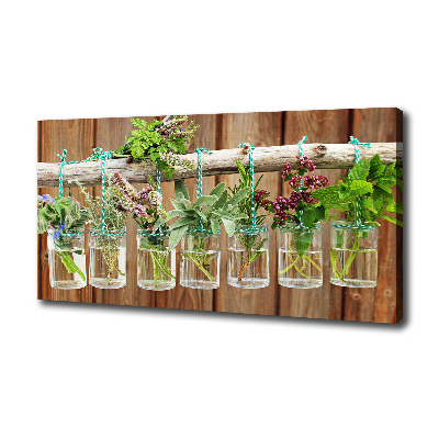 Canvas wall art Herbs in jars