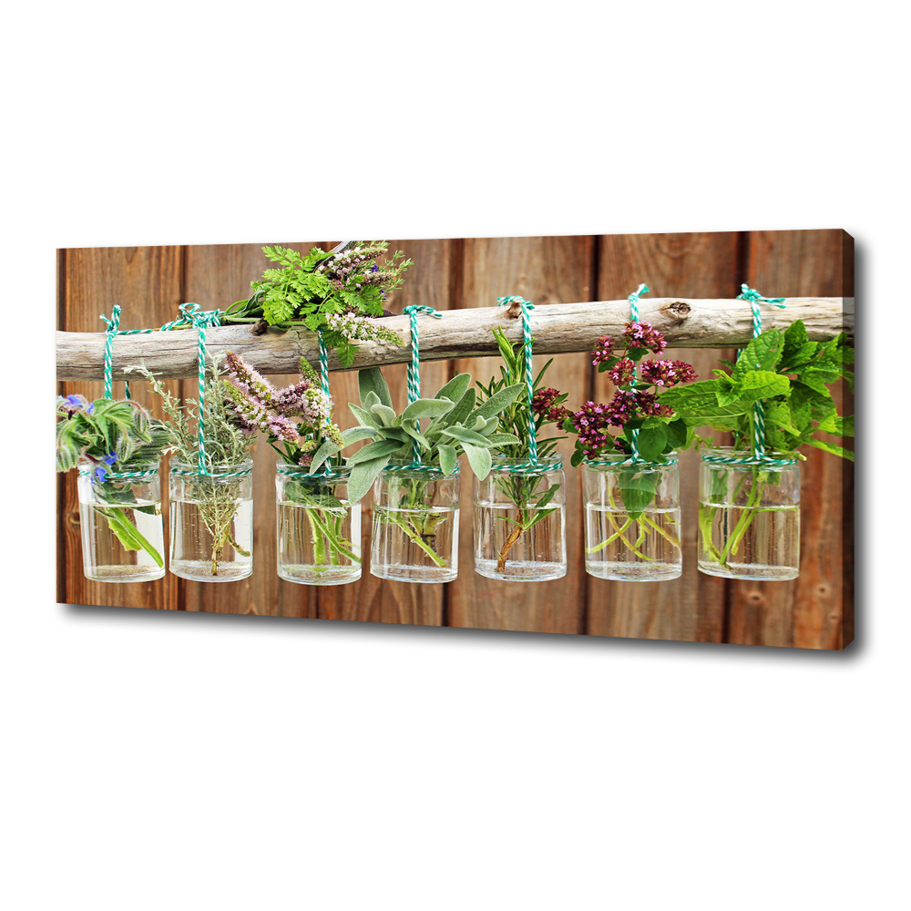 Canvas wall art Herbs in jars