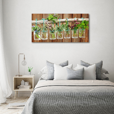 Canvas wall art Herbs in jars