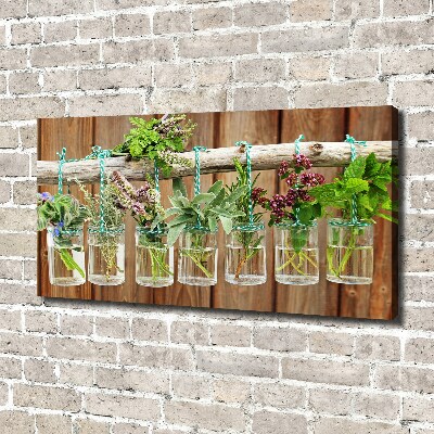 Canvas wall art Herbs in jars