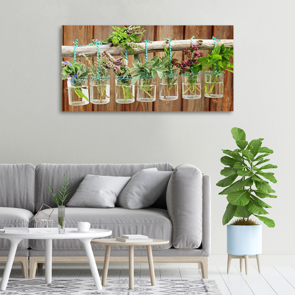 Canvas wall art Herbs in jars