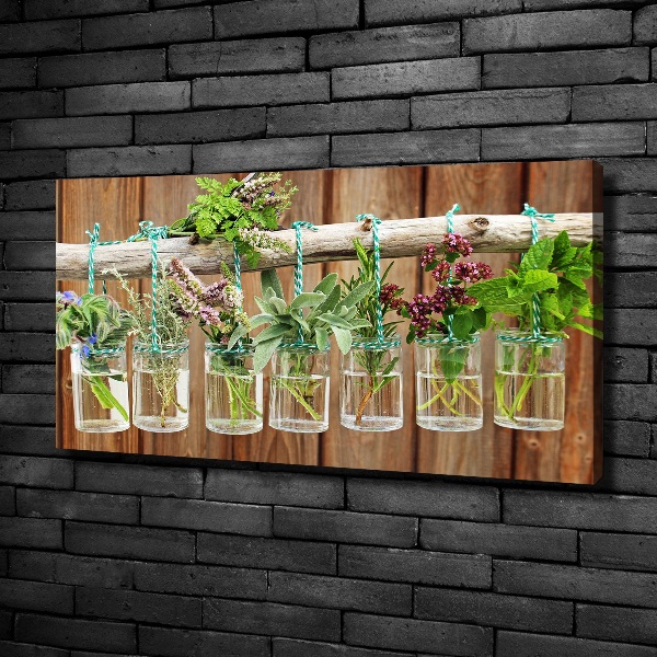 Canvas wall art Herbs in jars