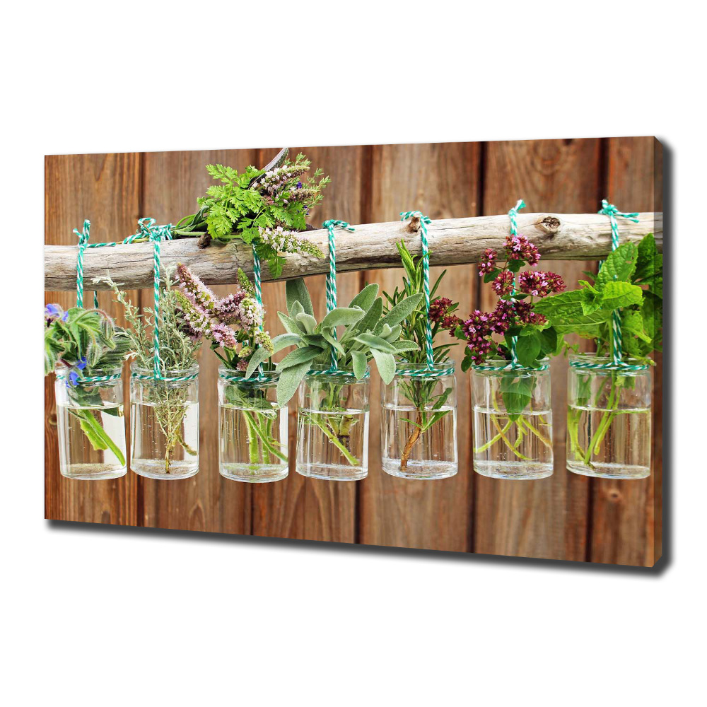 Canvas wall art Herbs in jars