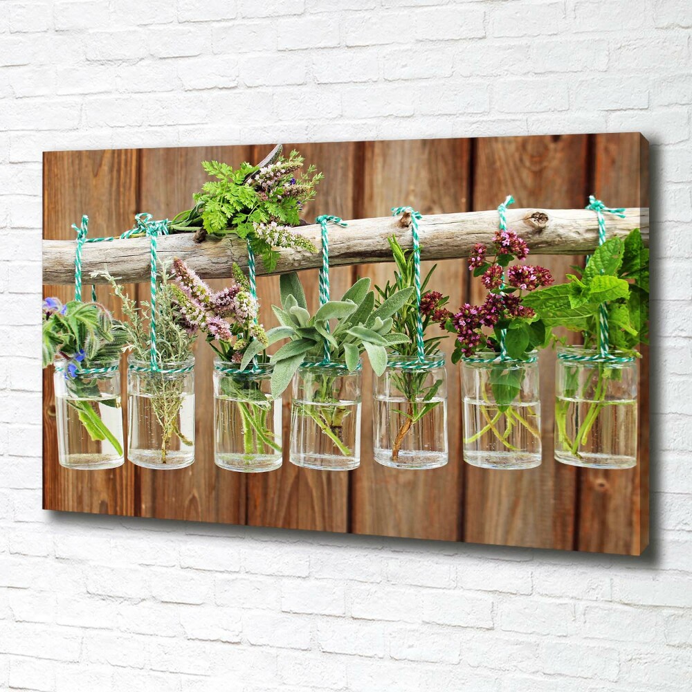 Canvas wall art Herbs in jars