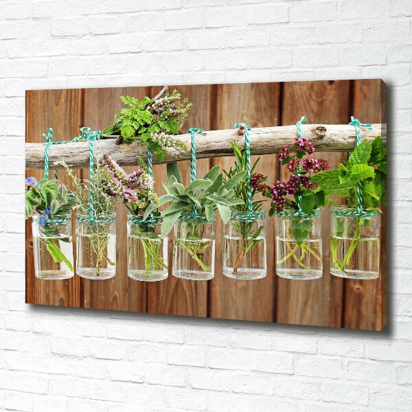 Canvas wall art Herbs in jars