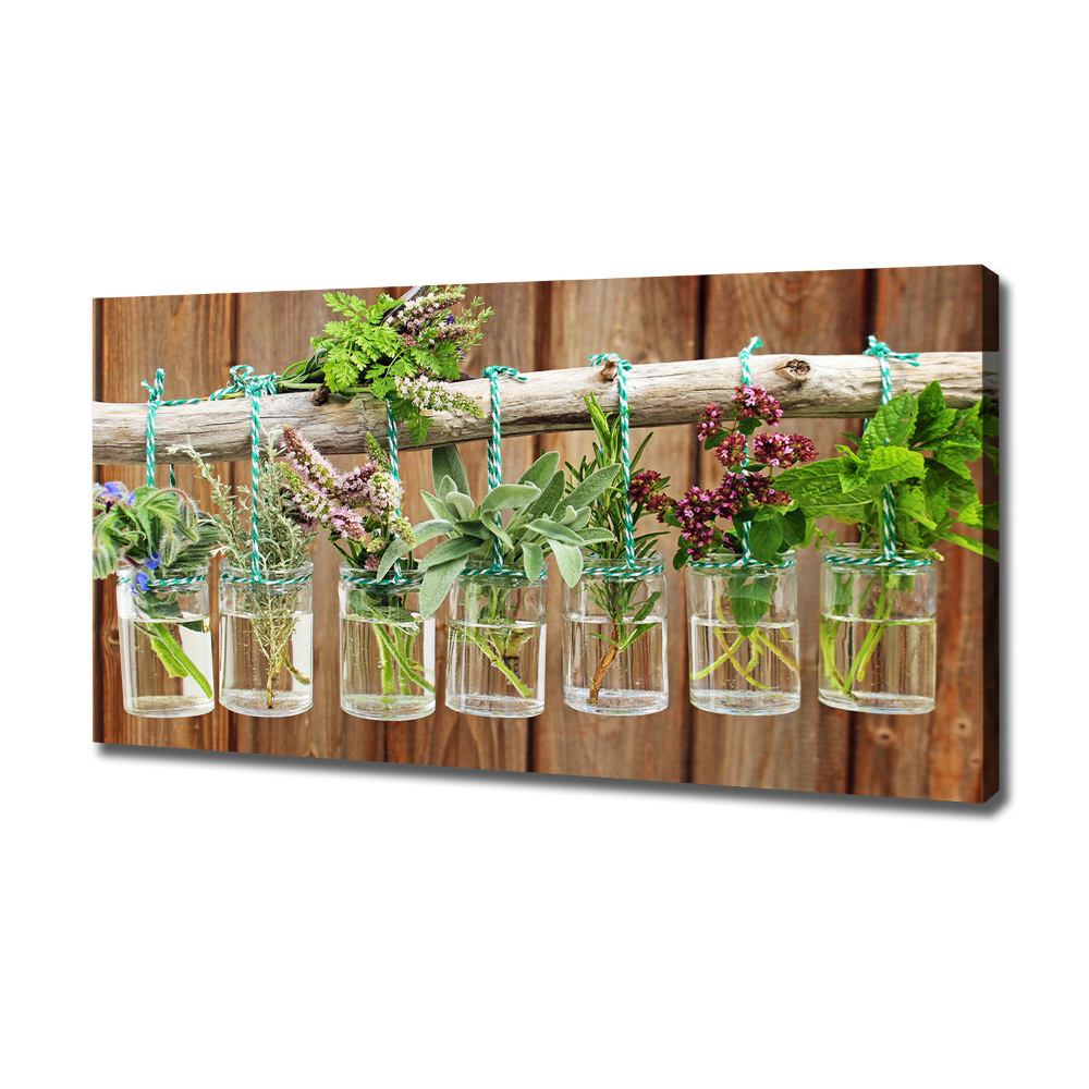 Canvas wall art Herbs in jars