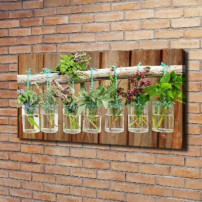 Canvas wall art Herbs in jars