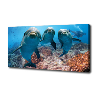 Canvas print Dolphins