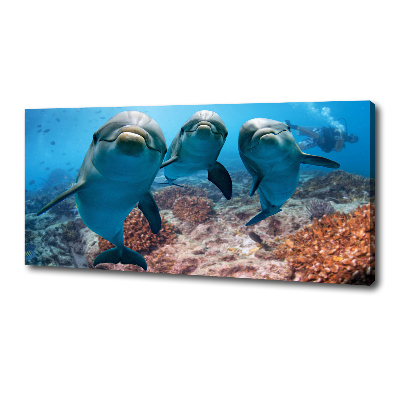 Canvas print Dolphins