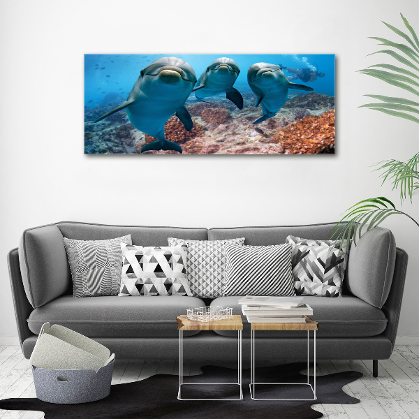 Canvas print Dolphins