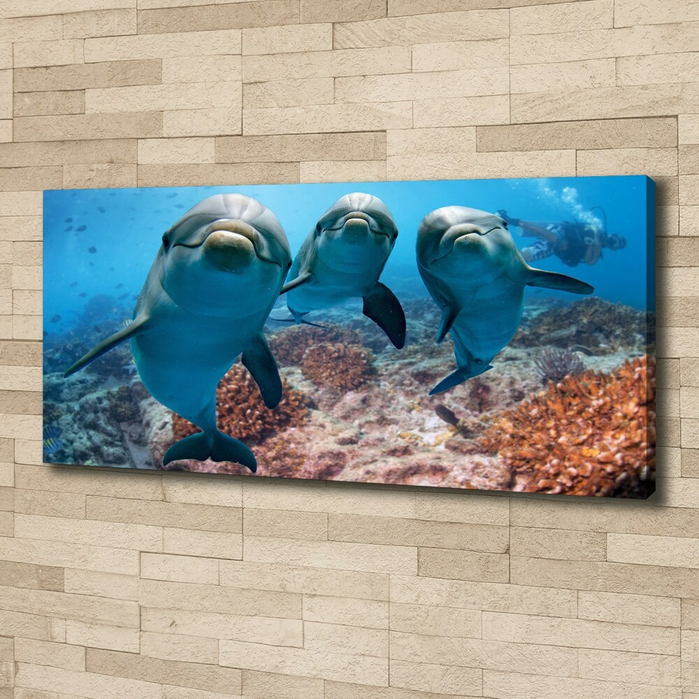 Canvas print Dolphins