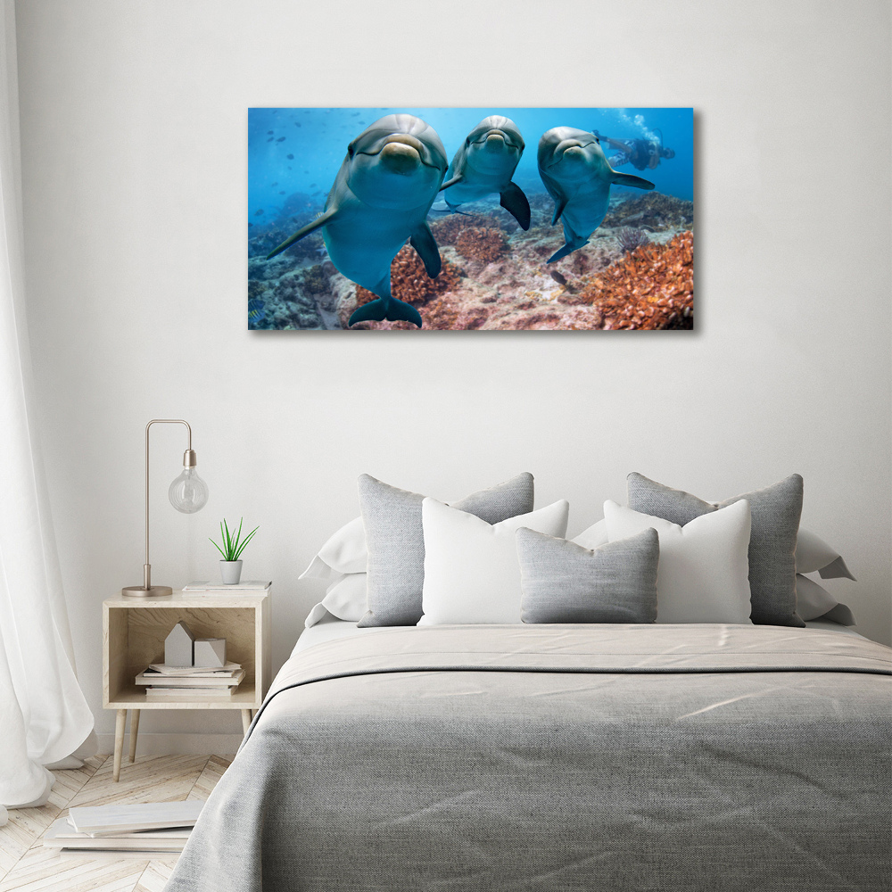 Canvas print Dolphins