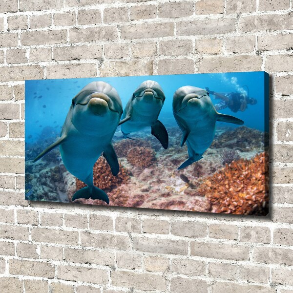 Canvas print Dolphins