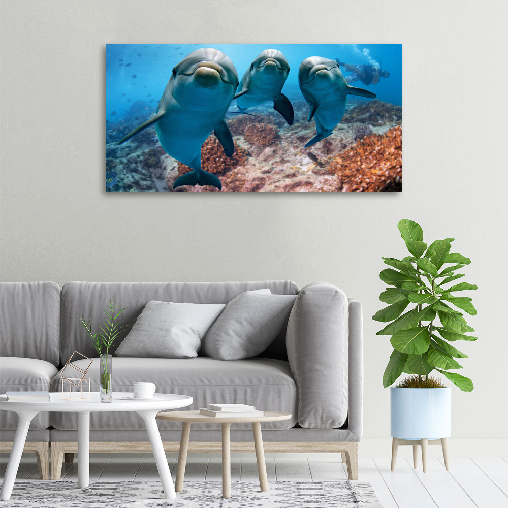 Canvas print Dolphins