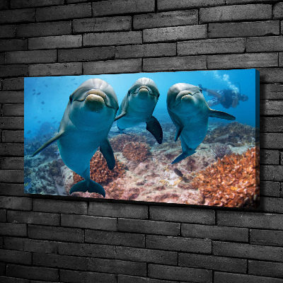 Canvas print Dolphins