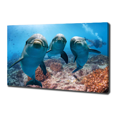 Canvas print Dolphins