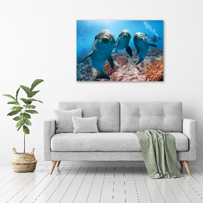 Canvas print Dolphins