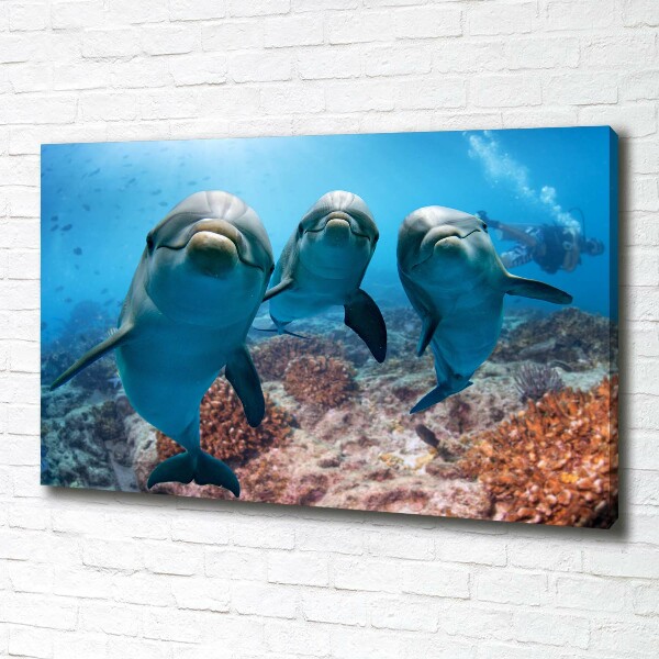 Canvas print Dolphins