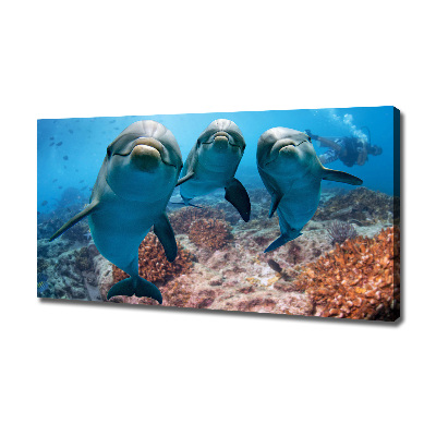 Canvas print Dolphins