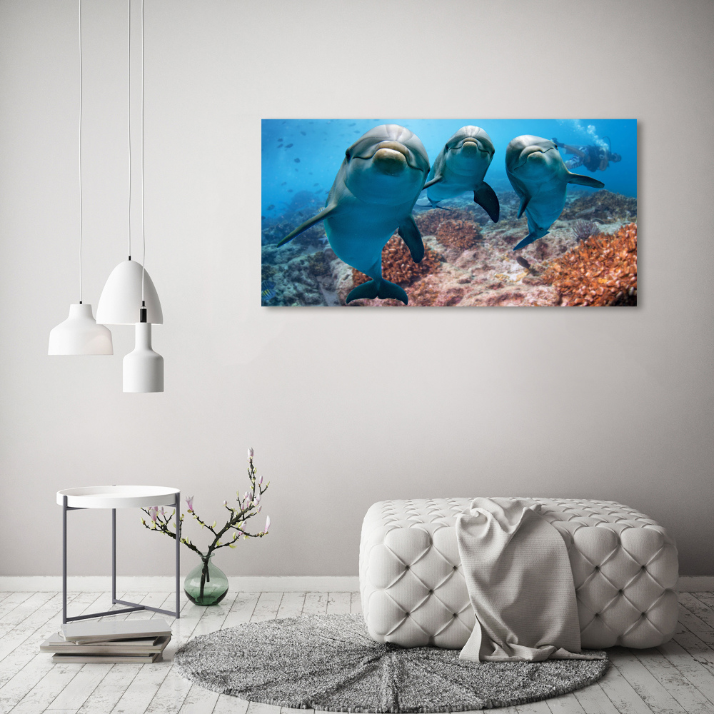 Canvas print Dolphins