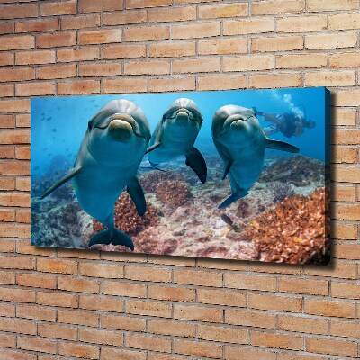 Canvas print Dolphins