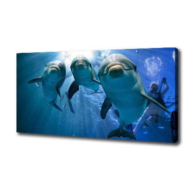 Canvas wall art Three dolphins