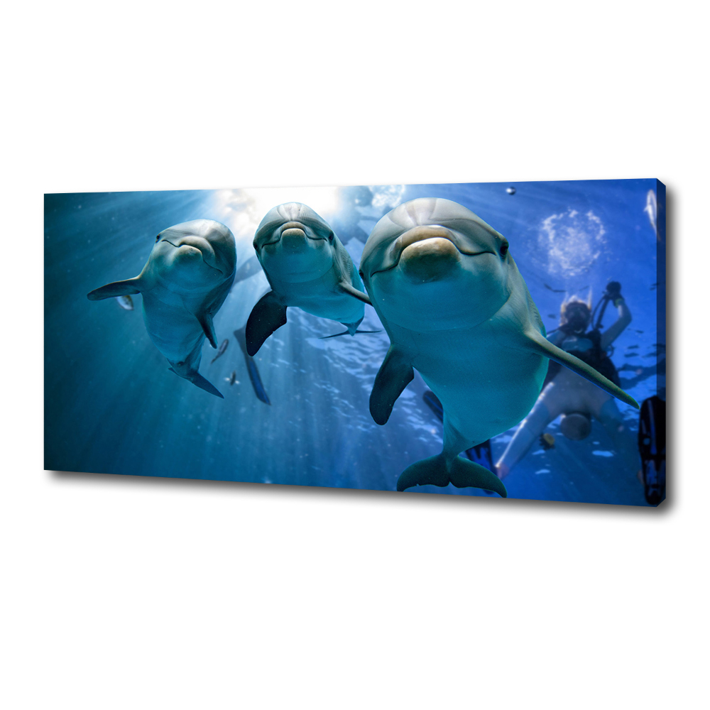 Canvas wall art Three dolphins