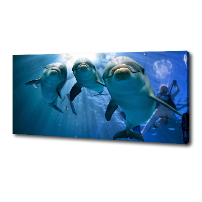 Canvas wall art Three dolphins