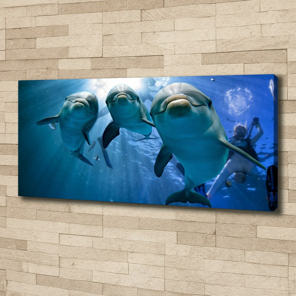 Canvas wall art Three dolphins