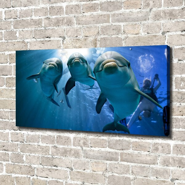 Canvas wall art Three dolphins