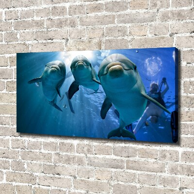 Canvas wall art Three dolphins