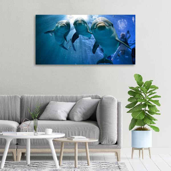 Canvas wall art Three dolphins