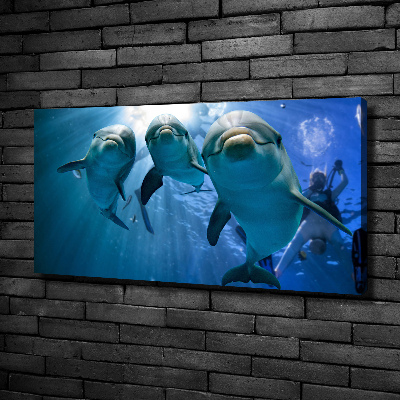 Canvas wall art Three dolphins